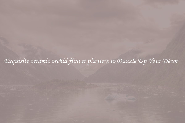 Exquisite ceramic orchid flower planters to Dazzle Up Your Décor  
