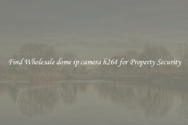 Find Wholesale dome ip camera h264 for Property Security