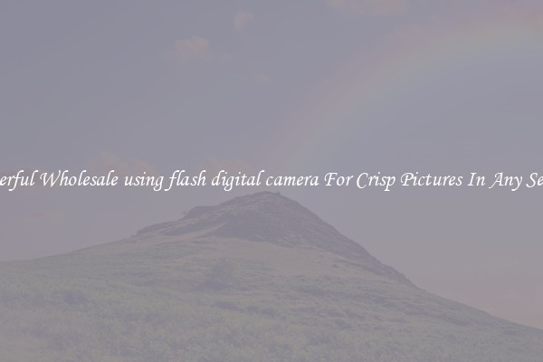 Powerful Wholesale using flash digital camera For Crisp Pictures In Any Setting
