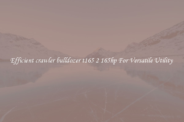 Efficient crawler bulldozer t165 2 165hp For Versatile Utility 