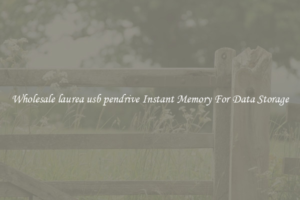 Wholesale laurea usb pendrive Instant Memory For Data Storage