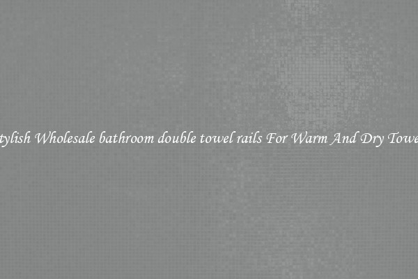 Stylish Wholesale bathroom double towel rails For Warm And Dry Towels