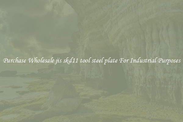 Purchase Wholesale jis skd11 tool steel plate For Industrial Purposes