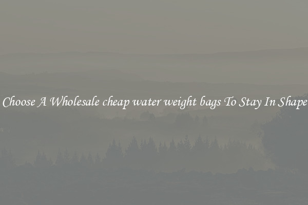 Choose A Wholesale cheap water weight bags To Stay In Shape