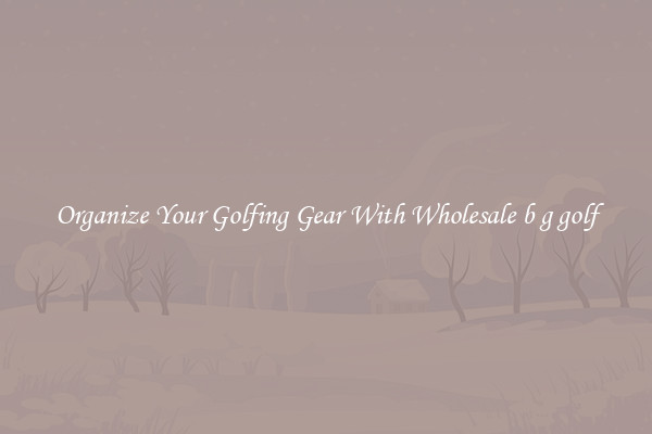Organize Your Golfing Gear With Wholesale b g golf
