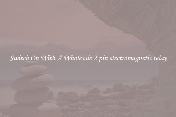 Switch On With A Wholesale 2 pin electromagnetic relay