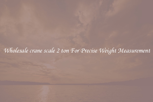 Wholesale crane scale 2 ton For Precise Weight Measurement