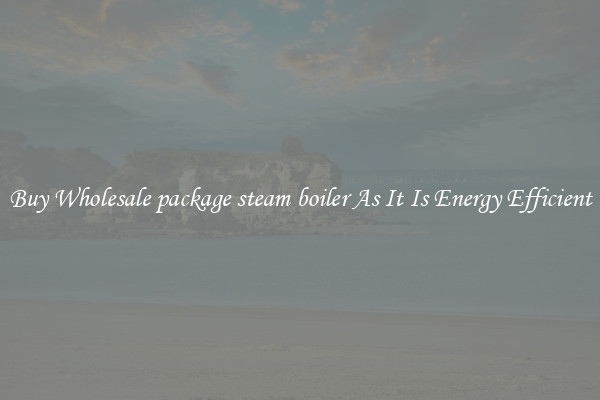 Buy Wholesale package steam boiler As It Is Energy Efficient