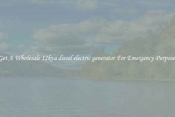 Get A Wholesale 12kva diesel electric generator For Emergency Purposes