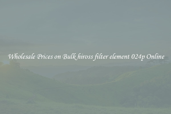 Wholesale Prices on Bulk hiross filter element 024p Online