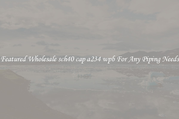 Featured Wholesale sch40 cap a234 wpb For Any Piping Needs