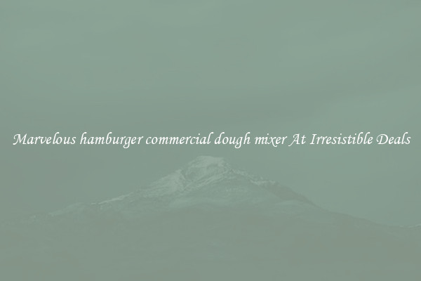Marvelous hamburger commercial dough mixer At Irresistible Deals