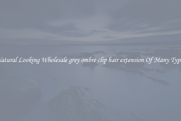Natural Looking Wholesale grey ombre clip hair extension Of Many Types