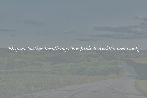 Elegant leather handbangs For Stylish And Trendy Looks