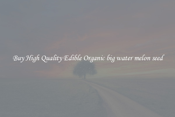 Buy High Quality Edible Organic big water melon seed