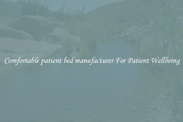 Comfortable patient bed manufacturer For Patient Wellbeing