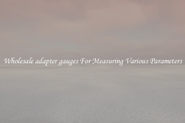 Wholesale adapter gauges For Measuring Various Parameters
