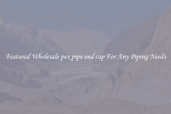 Featured Wholesale pex pipe end cap For Any Piping Needs