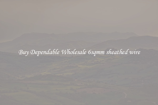Buy Dependable Wholesale 6sqmm sheathed wire